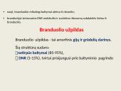 Ląstelių vidinės struktūros 8 puslapis