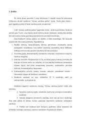 Verslo planas: UAB "Alytaus autobusų parkas"