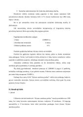 Verslo planas: UAB "Alytaus autobusų parkas" 2 puslapis