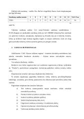 Verslo planas: UAB "Alytaus autobusų parkas" 11 puslapis