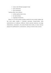 Verslo planas: UAB "Alytaus autobusų parkas" 13 puslapis