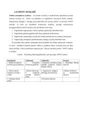 Verslo planas: UAB "Alytaus autobusų parkas" 14 puslapis