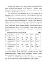 Verslo planas: UAB "Alytaus autobusų parkas" 3 puslapis