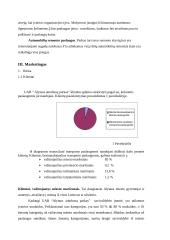 Verslo planas: UAB "Alytaus autobusų parkas" 6 puslapis