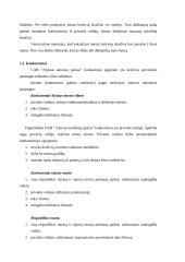 Verslo planas: UAB "Alytaus autobusų parkas" 7 puslapis