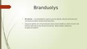 Ląstelės branduolys (skaidrės) 2 puslapis