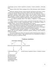 Verslo planas: UAB "Biokuras" 15 puslapis