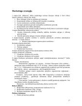 Verslo planas: UAB "Biokuras" 16 puslapis