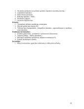 Verslo planas: UAB "Biokuras" 17 puslapis