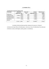 Verslo planas: vidaus apdailos paslaugų įmonė UAB "Evelita" 12 puslapis