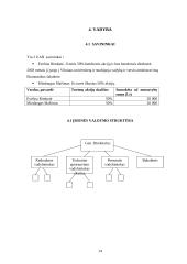 Verslo planas: vidaus apdailos paslaugų įmonė UAB "Evelita" 13 puslapis