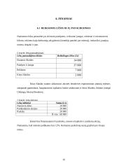 Verslo planas: vidaus apdailos paslaugų įmonė UAB "Evelita" 15 puslapis