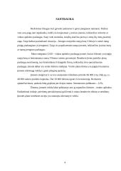 Verslo planas: vidaus apdailos paslaugų įmonė UAB "Evelita" 3 puslapis