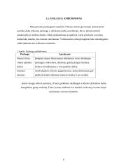 Verslo planas: vidaus apdailos paslaugų įmonė UAB "Evelita" 5 puslapis