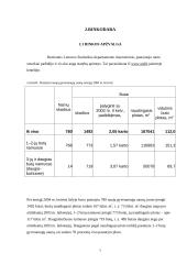 Verslo planas: vidaus apdailos paslaugų įmonė UAB "Evelita" 6 puslapis