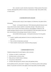 Verslo planas: vidaus apdailos paslaugų įmonė UAB "Evelita" 7 puslapis