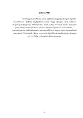 Verslo planas: vidaus apdailos paslaugų įmonė UAB "Evelita" 9 puslapis