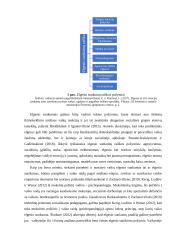 Mokytojų ir tėvų bendradarbiavimas taikant skatinimo būdus vaikams su elgesio sunkumais ikimokykliniame amžiuje 11 puslapis