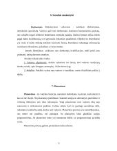 Verslo planas: žuvų gaudymas, sandėliavimas, transportavimas ir perdirbimas UAB "Menkė" 13 puslapis