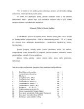 Verslo planas: žuvų gaudymas, sandėliavimas, transportavimas ir perdirbimas UAB "Menkė" 8 puslapis