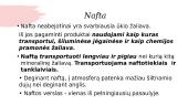 Gamtos ištekliai (skaidrės) 11 puslapis