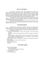 Verslo planavimo struktūra 3 puslapis