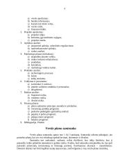 Verslo planavimo struktūra 4 puslapis