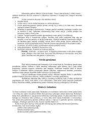 Verslo planavimo struktūra 5 puslapis