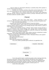 Verslo planavimo struktūra 8 puslapis