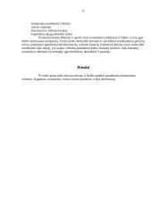 Verslo planavimo struktūra 9 puslapis