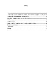 Verslo planavimo svarba įmonės veiklai 2 puslapis