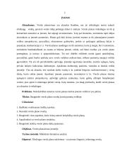 Verslo planavimo svarba įmonės veiklai 3 puslapis