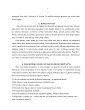 Verslo planavimo svarba įmonės veiklai 8 puslapis