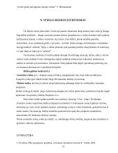 Verslo plano parengimas naujam verslui 12 puslapis