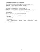 Verslo plano parengimas naujam verslui 13 puslapis