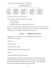 Verslo plano parengimas naujam verslui 8 puslapis