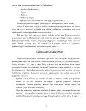 Verslo plano parengimas naujam verslui 10 puslapis