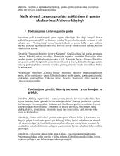 Žmogaus pažinimas, savo gyvenimo tikslo ieškojimas Maironio kūryboje 5 puslapis