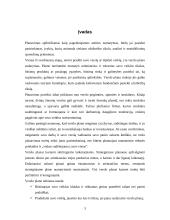 Verslo planas, jo rengimas 2 puslapis