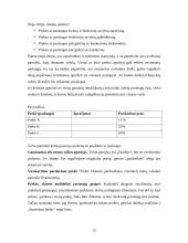 Verslo planas, jo rengimas 11 puslapis