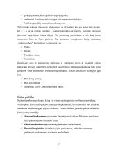 Verslo planas, jo rengimas 13 puslapis