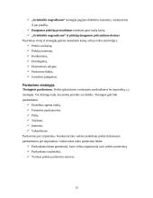 Verslo planas, jo rengimas 14 puslapis