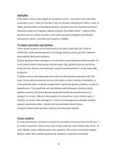 Verslo planas, jo rengimas 15 puslapis