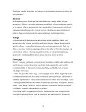 Verslo planas, jo rengimas 17 puslapis