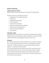 Verslo planas, jo rengimas 19 puslapis