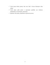 Verslo planas, jo rengimas 3 puslapis