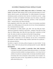 Verslo planas, jo rengimas 4 puslapis