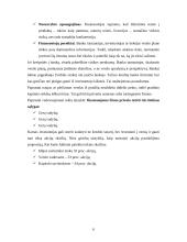 Verslo planas, jo rengimas 5 puslapis