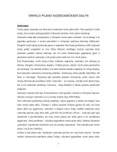 Verslo planas, jo rengimas 6 puslapis