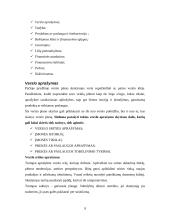 Verslo planas, jo rengimas 8 puslapis